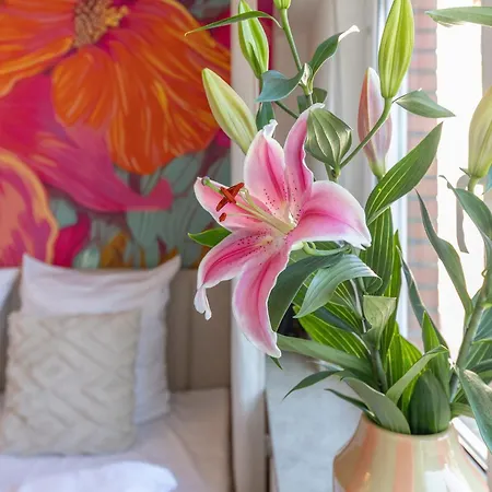 Mango Living I Boutique I Modern I 23 Qm Mönchengladbach