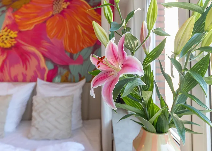 Mango Living I Boutique I Modern I 23 Qm メンヒェングラートバッハ